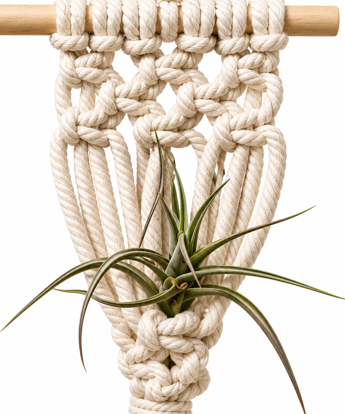 Handmade Macramé Air Plant Hanger - Little Path