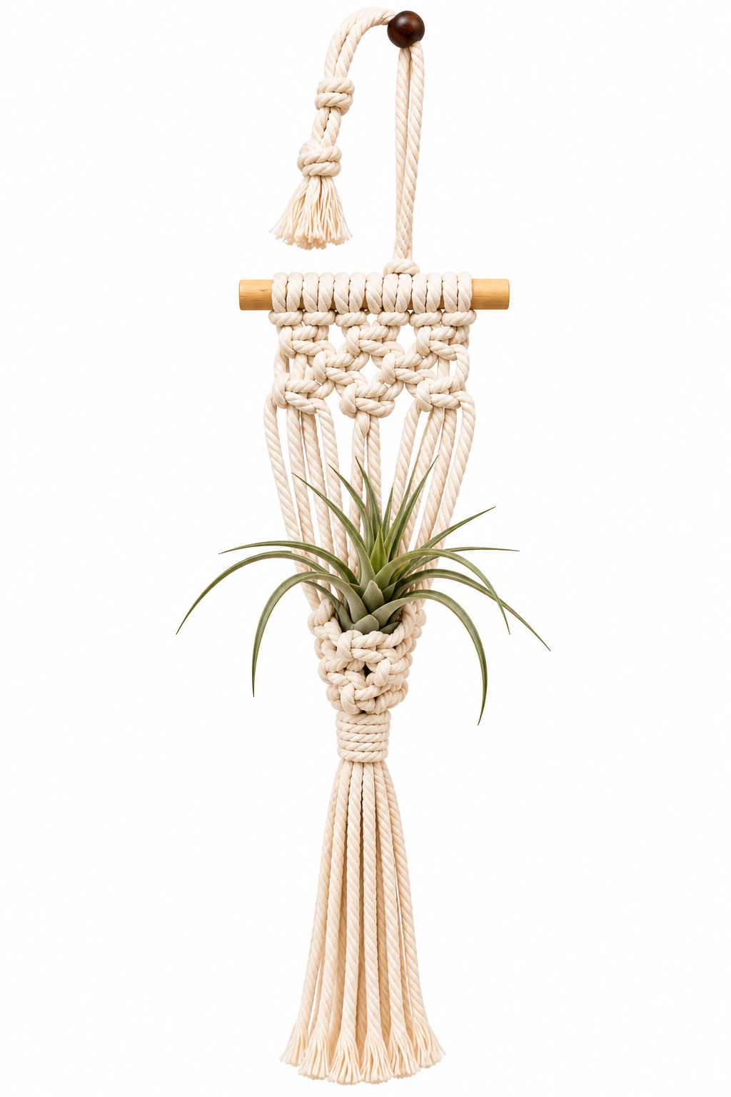 Handmade Macramé Air Plant Hanger - Little Path