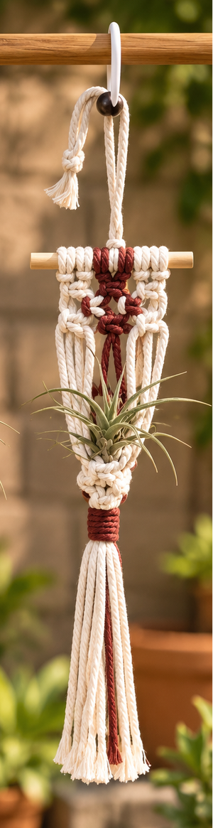 Cream with Rustic Red Accent